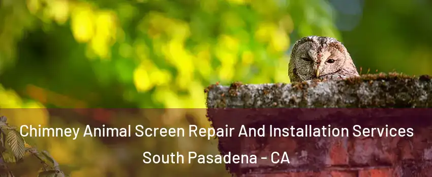  Chimney Animal Screen Repair And Installation Services South Pasadena - CA