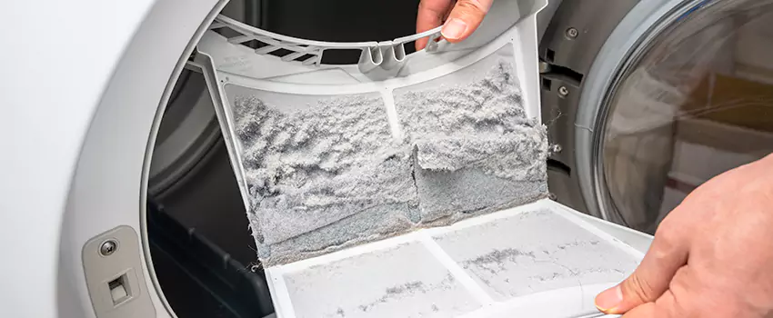 Best Dryer Lint Removal Company in South Pasadena, California