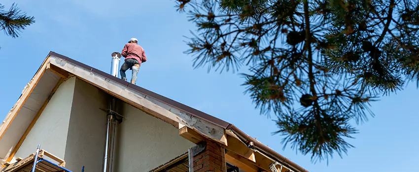 Birds Removal Contractors from Chimney in South Pasadena, CA
